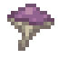 Strophar Mushroom icon