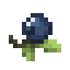 Blue Berry icon
