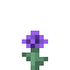 Purple Flower icon