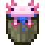 Skyroot Bucket of Axolotl icon