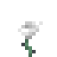 White Flower icon