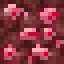 Nether Ruby Ore icon