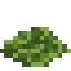 Algae icon