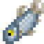 Atlantic Herring icon