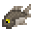Blackfish icon