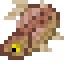 Brown Trout icon