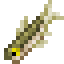 Minnow icon