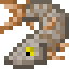 Muskellunge icon