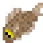 Pacific Halibut icon