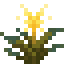 Sparkflower icon