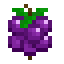 Sourceberry icon