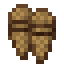 Snowshoes icon