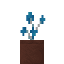 Aurora Bloom icon