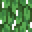 Palm Leaves icon