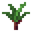 Palm Sprout icon