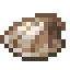 Seashell icon