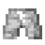 Swimming Trunks icon