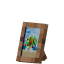 Jungle Picture Frame icon