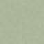 Mint 1 icon