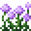 Allium Flower Bush icon