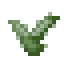 Aloe Vera icon
