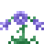 Alpine Bellflower icon