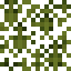 Araucaria Leaves icon