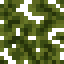 Baobab Leaves icon