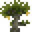 Baobab Sapling icon