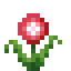 Begonia icon