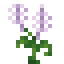 Bistort icon