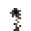 Black Rose icon