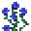 Blue Rose Bush icon