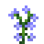 Blue Sage icon