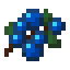 Blueberries icon