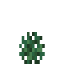 Blueberry Bush icon