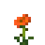 California Poppy icon