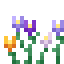 Crocus icon