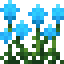 Cyan Amaranth icon
