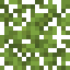 Cypress Leaves icon