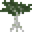 Cypress Sapling icon