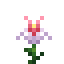 Daffodil icon