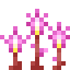 Fairy Slipper icon