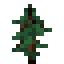 Fir Sapling icon