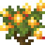 Firecracker Flower Bush icon