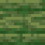 Florus Planks icon