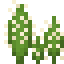 Golden Spined Cactus icon