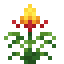 Guzmania icon