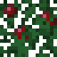 Holly Berry Leaves icon