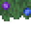 Hydrangea Hedge icon